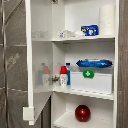 Apartmán Apartamentul Irinei Alezzi *